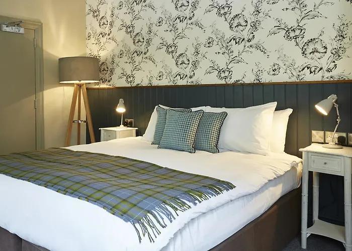 Discover the Best Budget-Friendly Hotels in Buckfastleigh